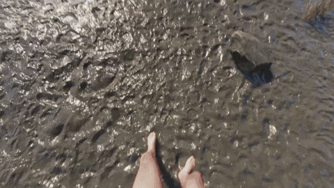 Rust Game Server Hosting